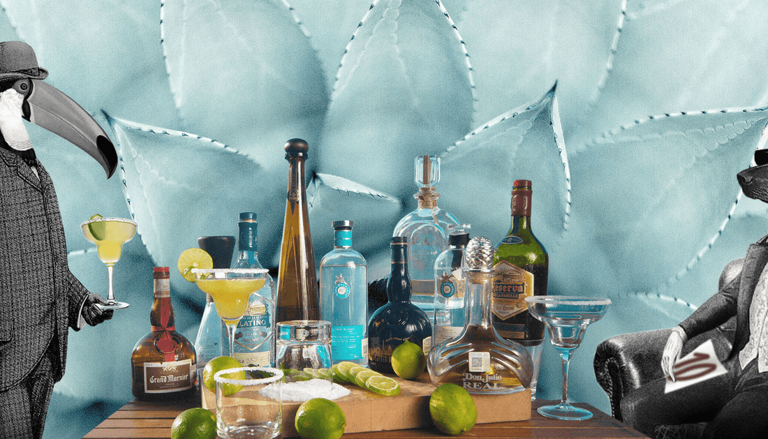 Top Tequilas to Try in 2023