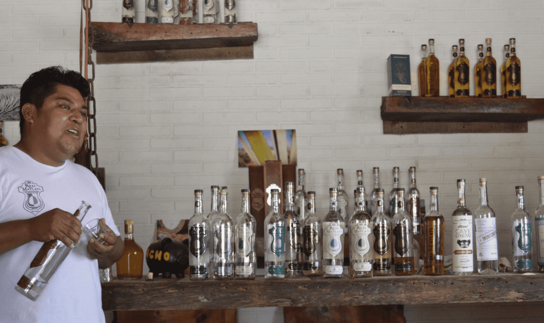 Discover the Universe of Flavors in Mezcal. In other words: What does Mezcal Taste Like?