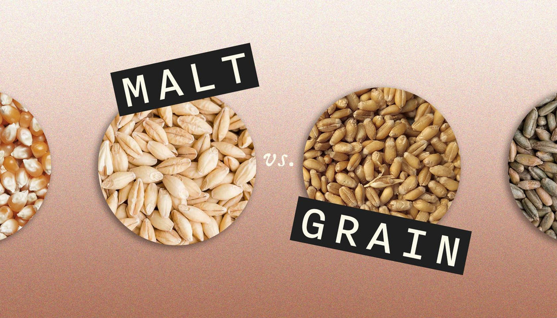 Malt vs. Grain Whisky. These Are The Differences And Brands You Need to Know About.