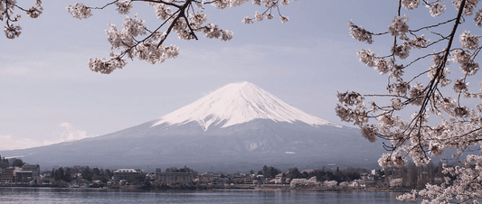 The Japanese Whisky Distilleries to Visit around Tokyo