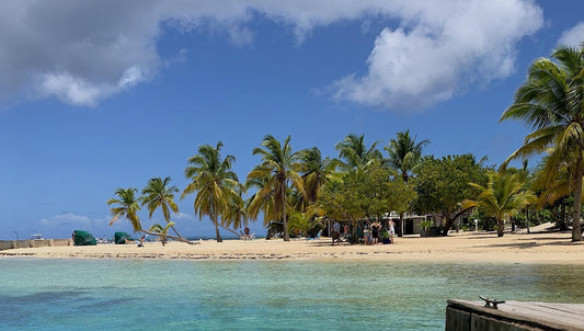 A Spirited Journey of Ethanol Savories on St. Croix