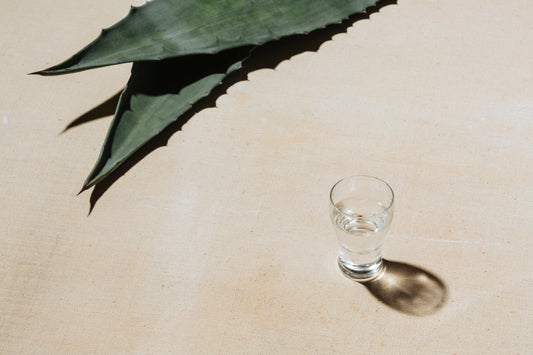 Mezcal, the Lesser Known Agave Spirit You Should Try Now