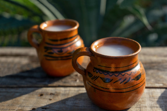 Mexican fermented beverage called "Pulque" in clay cups with agave cactus
