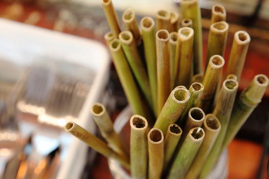 Bamboo straws