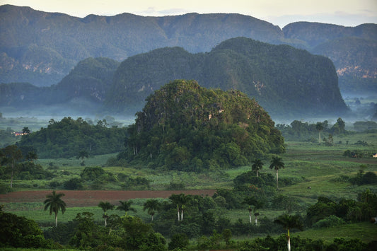 Peaceful view of Vinales valley at sunrise.