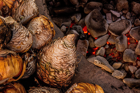 Sotol: Take a Sip From The Desert Spoon