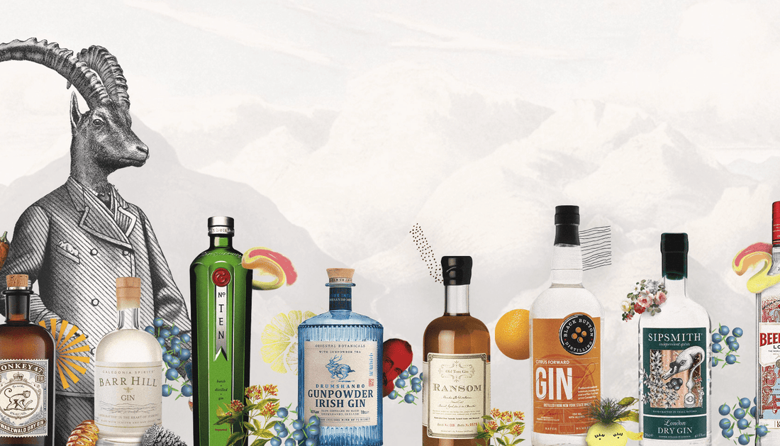 The Best Gins to Restock Your Home Bar in 2023