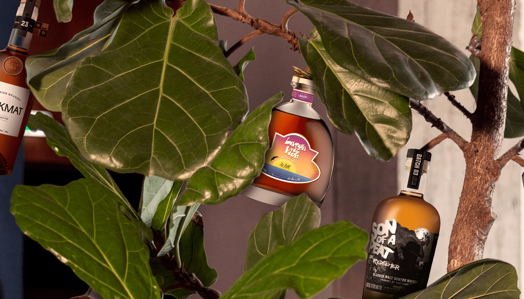 Flaviar Grows First Booze Tree 🌳