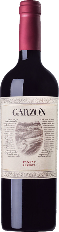 2019 Bodega Garzon Reserva Tannat