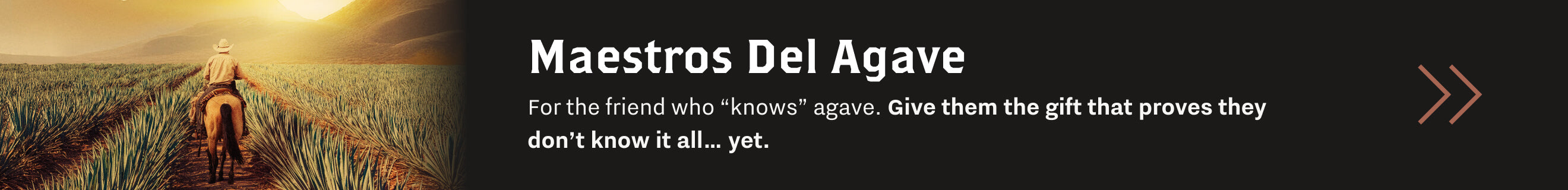 Top 10 Best Brandies banner