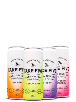 TAKE FIVE Hard Seltzer Variety 12-Pack (4.26L)