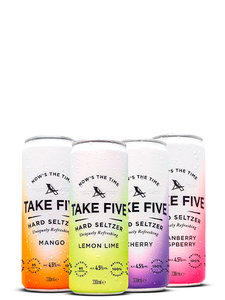 TAKE FIVE Hard Seltzer Variety 12-Pack (4.26L)