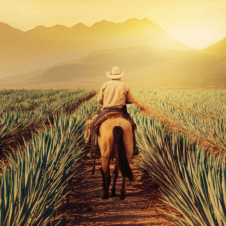 Maestros del Agave Subscription