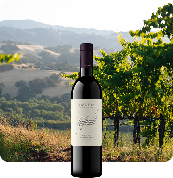 2021 Seghesio Family Vineyards Cortina Zinfandel