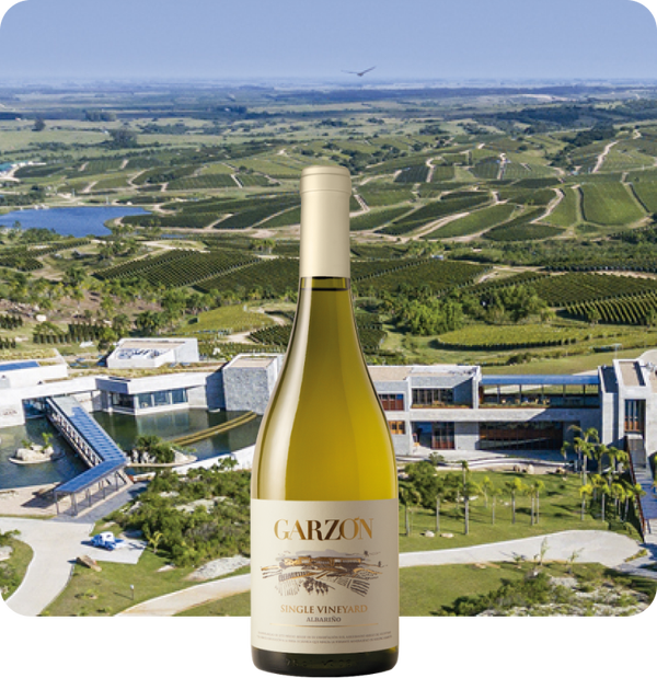 2022 Bodega Garzon Single Vineyard Albarino