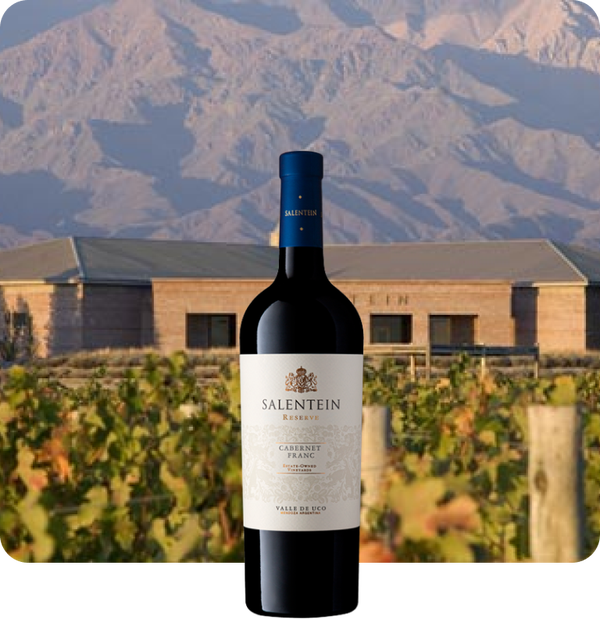 2022 Bodegas Salentein Reserva Cabernet Franc