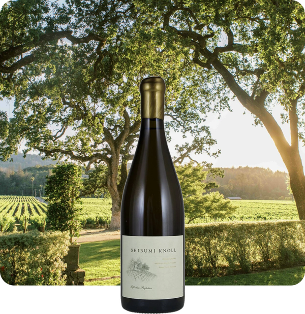 2021 Shibumi Knoll Buena Tierra Vineyard Chardonnay