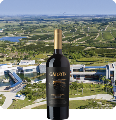 2019 Bodega Garzon Single Vineyard Tannat