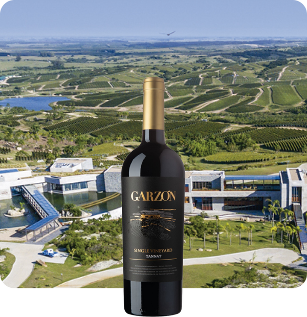 2019 Bodega Garzon Single Vineyard Tannat