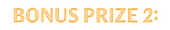 Bonus prize 2