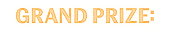 Grand prize