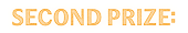 Second prize