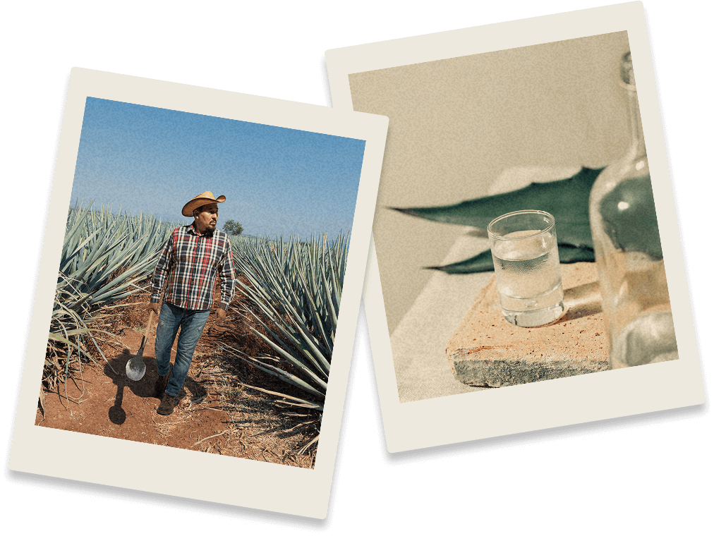 Flaviar Founder's Picks