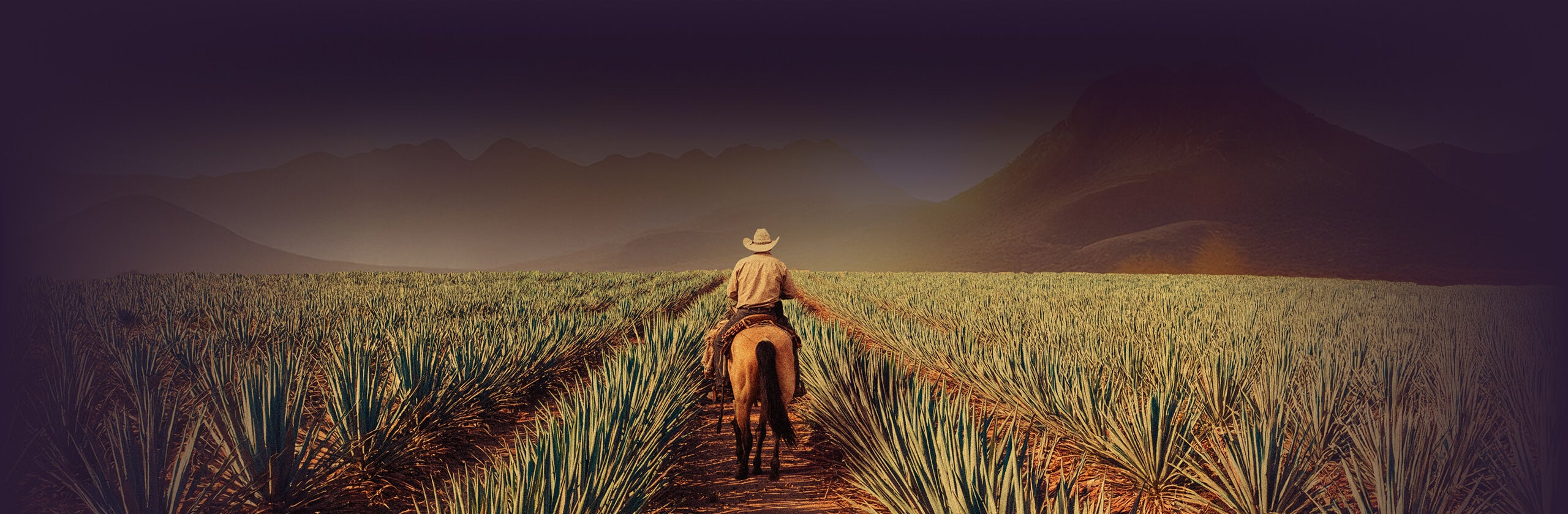 Flaviar Founder's Picks