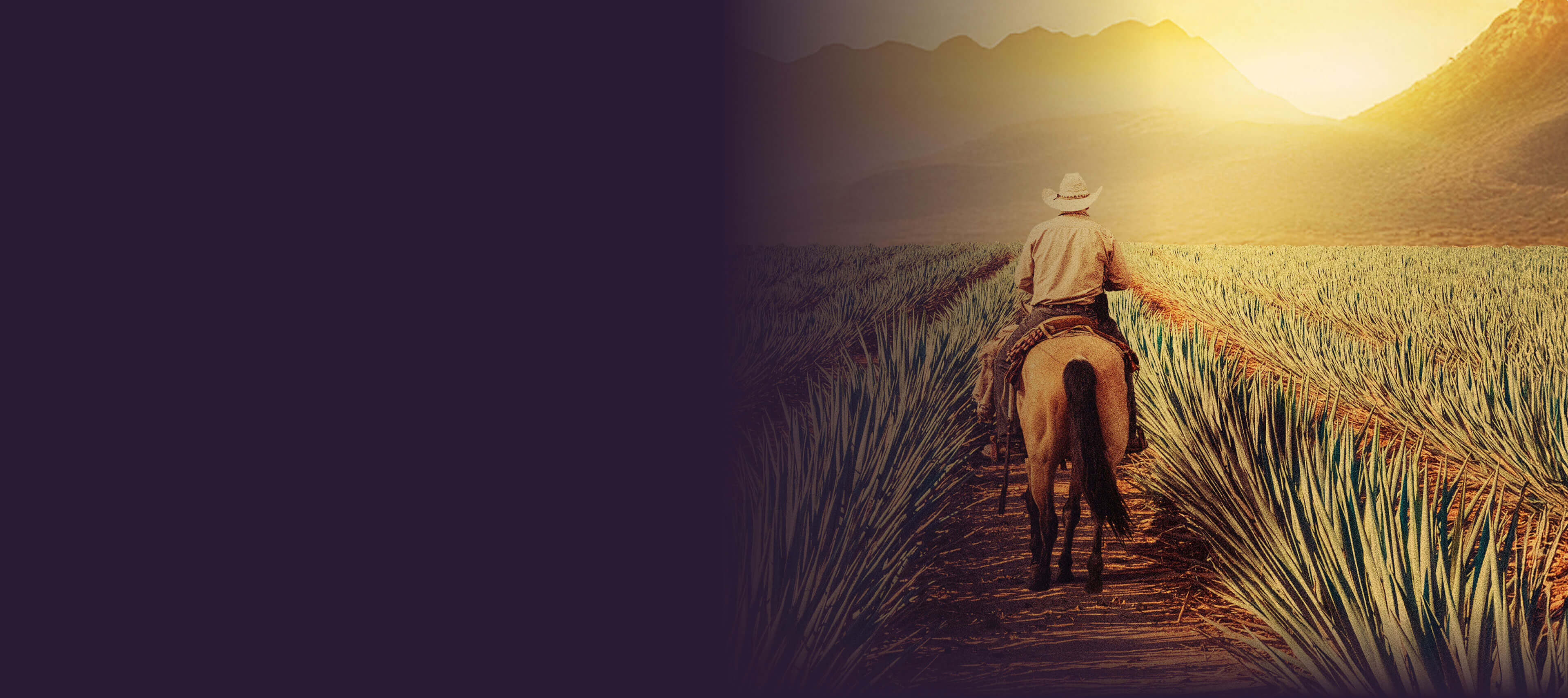 Flaviar Founder's Picks