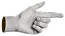 hand