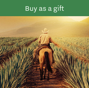 Maestros Del Agave