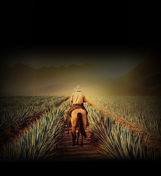 For the friend who “knows” agave.